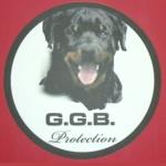 Creazione sito web G.G.B. Protection