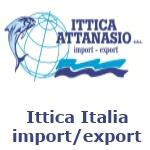 Creazione sito web Ittica Italia - Ittica Attanasio