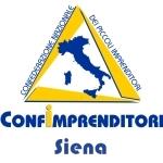 Creazione sito web Confimprenditori Siena
