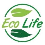 Creazione sito web EcoLife