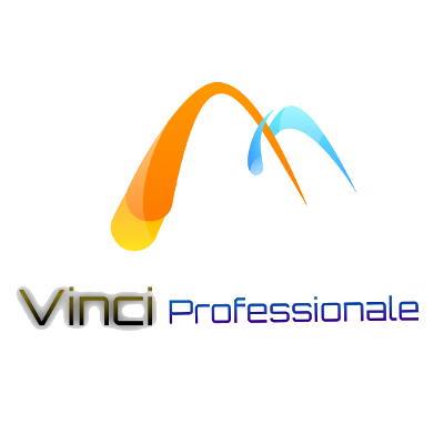 Creazione sito web Vinci Professionale srl