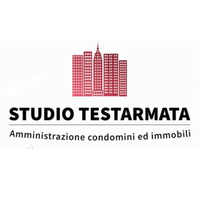 Creazione sito web Studio Testarmata